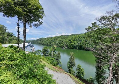 0 Waters Edge unit 26041014, Bryson City, NC 28713 - photo 4