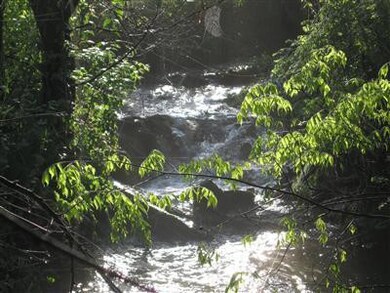 485 Chatham Rd, Harrodsburg, KY 40330 - photo 3