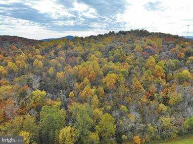 4515 Swover Creek Rd, Edinburg, VA 22824 - photo 7