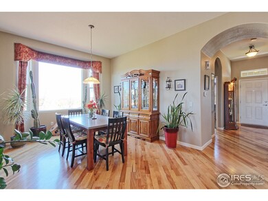 14379 Fillmore St, Thornton, CO 80602 - photo 5