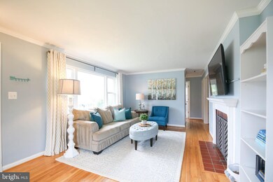 3107 Collard St, Alexandria, VA 22306 - photo 7