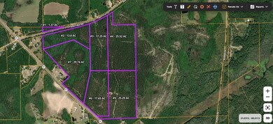 25 acres Goat Hill Rd, Samson, AL 36477 - photo 7