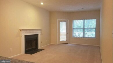 14314 Climbing Rose Way unit 202, Centreville, VA 20121 - photo 5