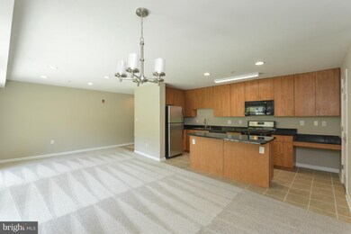 1002 Primrose Rd, Annapolis, MD 21403 - photo 4