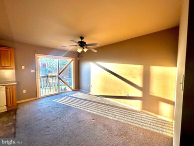 4524A A Sefranka Rd, Temple, PA 19560 - photo 5