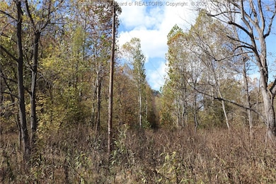 6 Sigman Fork Rd, Liberty, WV 25124 - photo 4