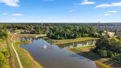 31119 Roanoke Woods Dr, Tomball, TX 77375 - photo 3