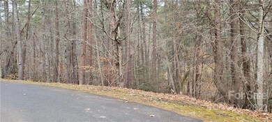 35 Settlers Trail unit 35, Mars Hill, NC 28754 - photo 2