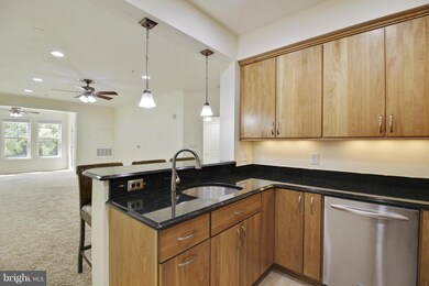 201 High Gables Dr unit 109, Gaithersburg, MD 20878 - photo 4
