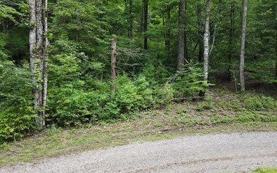 TR 2 Cindy Cove Rd, Blairsville, GA 30511 - photo 6