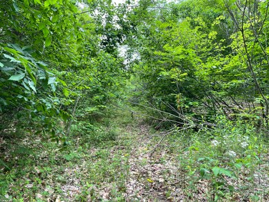 Pic 2