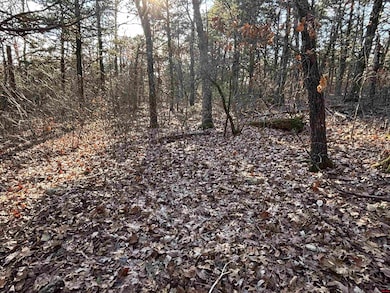 555-00002-000 Marion County 3063, Yellville, AR 72687 - photo 2