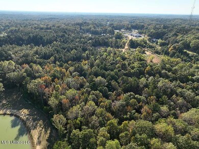 DJI_0698