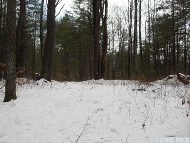 3 Hawthorne Hill Rd, New Lebanon, NY 12125 - photo 4