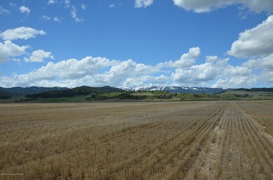 SE.Pivot.West Viewjpg