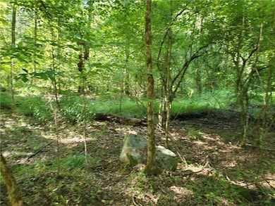 0 Goolsby Rd unit 7655845, Monticello, GA 31064 - photo 7