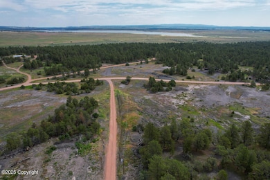 dji_fly_20250627_093236_786_175103874095