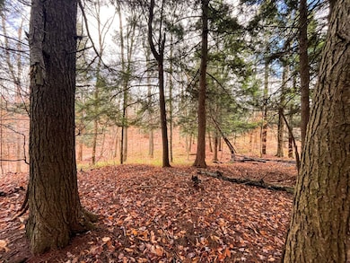 00 Boyd Pond Rd unit Lot 8 & 9, Russell, NY 13684 - photo 7