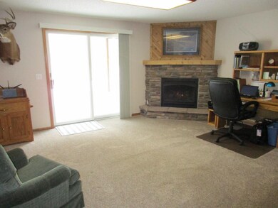 Lower level family room