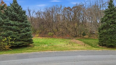 TBD Furlong Trail, Hastings, MN 55033 - photo 4