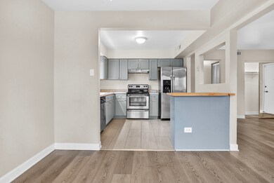 22509 Pleasant Dr unit 1, Richton Park, IL 60471 - photo 4