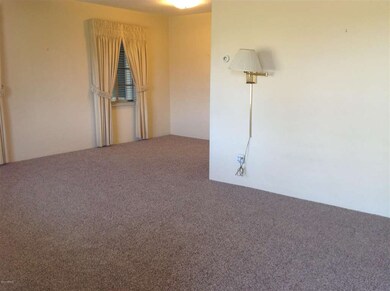photo1