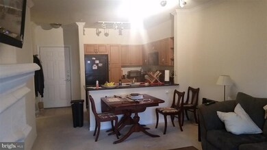 12900 Centre Park Cir unit 302, Herndon, VA 20171 - photo 6