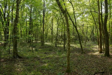 0 Bethesda Rd unit 11612880, Crystal Springs, MS 39059 - photo 2