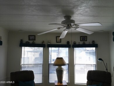 POTSHELVES IN LIVING AREA