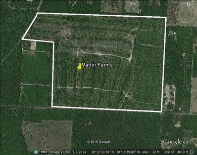 Lot 4 Martin Farms Rd, Crawfordville, FL 32327 - photo 2