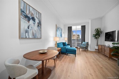 The Atelier Suites at The Ritz Carlton unit 10B, White Plains, NY 10601 - photo 5