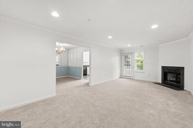 4700 Coyle Rd unit 304, Owings Mills, MD 21117 - photo 5