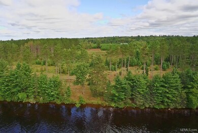 21.33 Acres Butterfield Ln, Pembine T-Wi, WI 54156 - photo 7