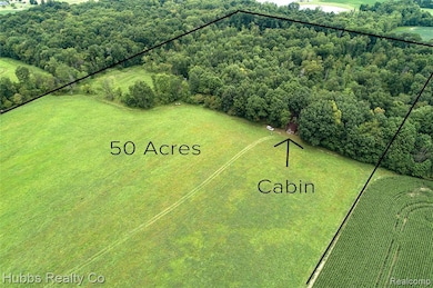 4251 E Frances Rd, Mount Morris, MI 48458 - photo 5