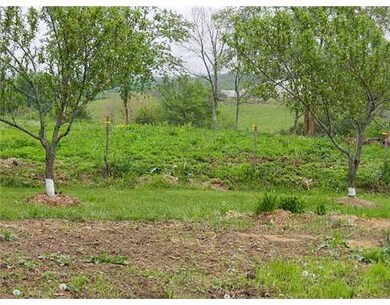 Land/Lot. garden area with fruit trees
