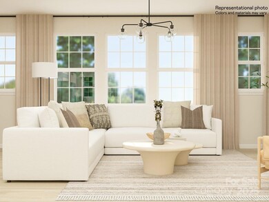 1041 Bandon Dr, Waxhaw, NC 28173 - photo 5