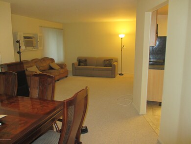 Living Room/DR Combo