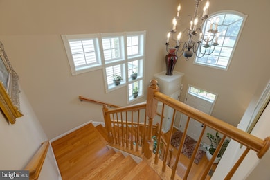 13799 Lowe St, Chantilly, VA 20151 - photo 6