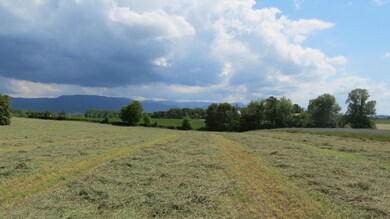 IMG_3403