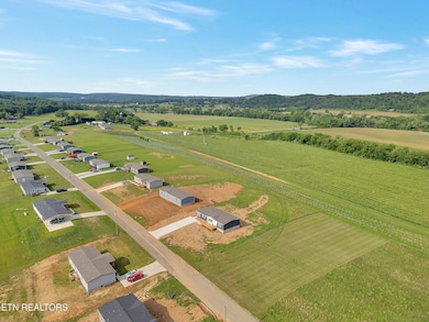Aerial Pic