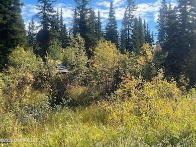 L 7&8 B9 Kenny Lake Village, Chitina, AK 99573 - photo 4