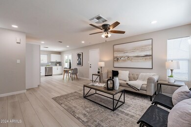 5-web-or-mls-Hackamore-HD-5