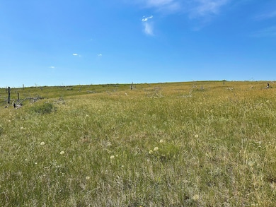 0 Buckskin Rd, Roundup, MT 59072 - photo 4