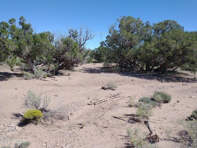 IMG_20220917_104958836