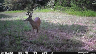 0 Moore Rd, Bolivar, TN 38008 - photo 6