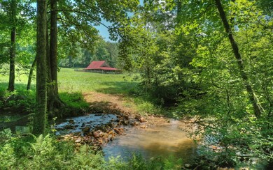 Additional View
