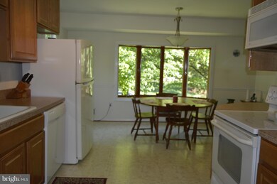 1808 Hopefield Rd, Silver Spring, MD 20905 - photo 3