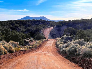 Butcher Rd, Fort Garland, CO 81133 - photo 5