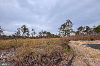 Lot 685 Bradley Ln, Chincoteague, VA 23336 - photo 5