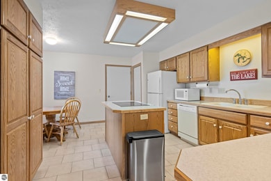 133 N Shore Dr W unit 10, Cadillac, MI 49601 - photo 4